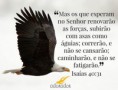 /album/galeria-de-fotos/esperar-em-deus-jpg/